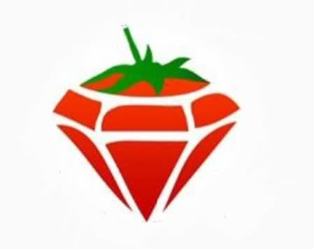پودر گوجه فرنگی آروبیتو 